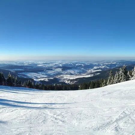 In 2142 * Jablonec nad Jizerou