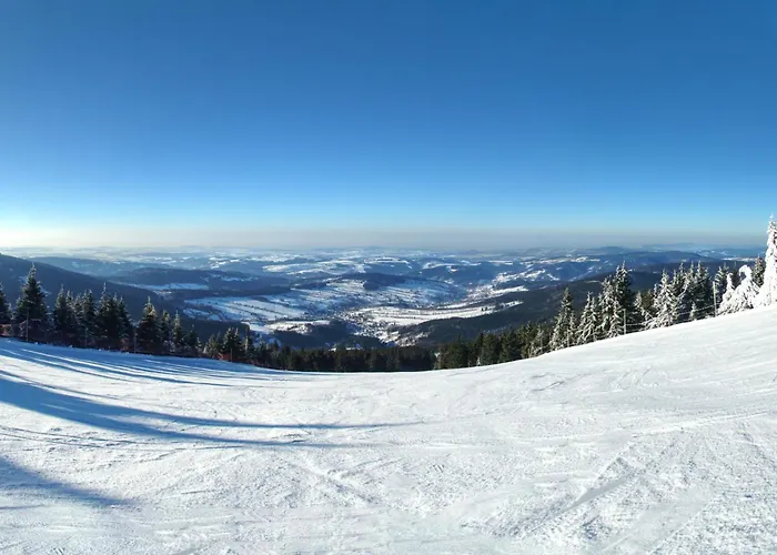 In 2142 * Jablonec nad Jizerou